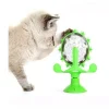 MONEY FERRIS WHEEL FOOD DISPENSING CAT TOY