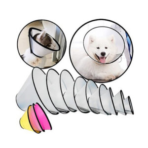 E Collar Dog No 3