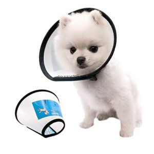 E Collar Dog No 4