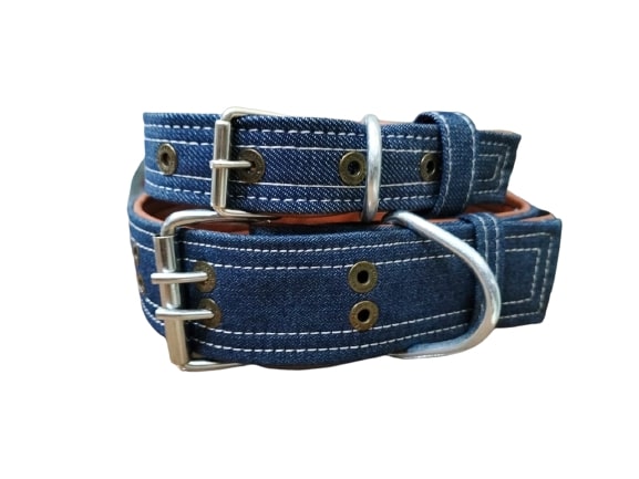 1683814716_dog20jeans20collar.jpg