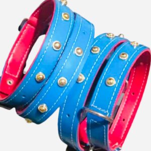 Collar Puppy S