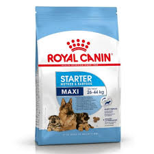 ROYAL CANIN MAXI STARTER MOTHER & BABY DOG FOOD 4KG